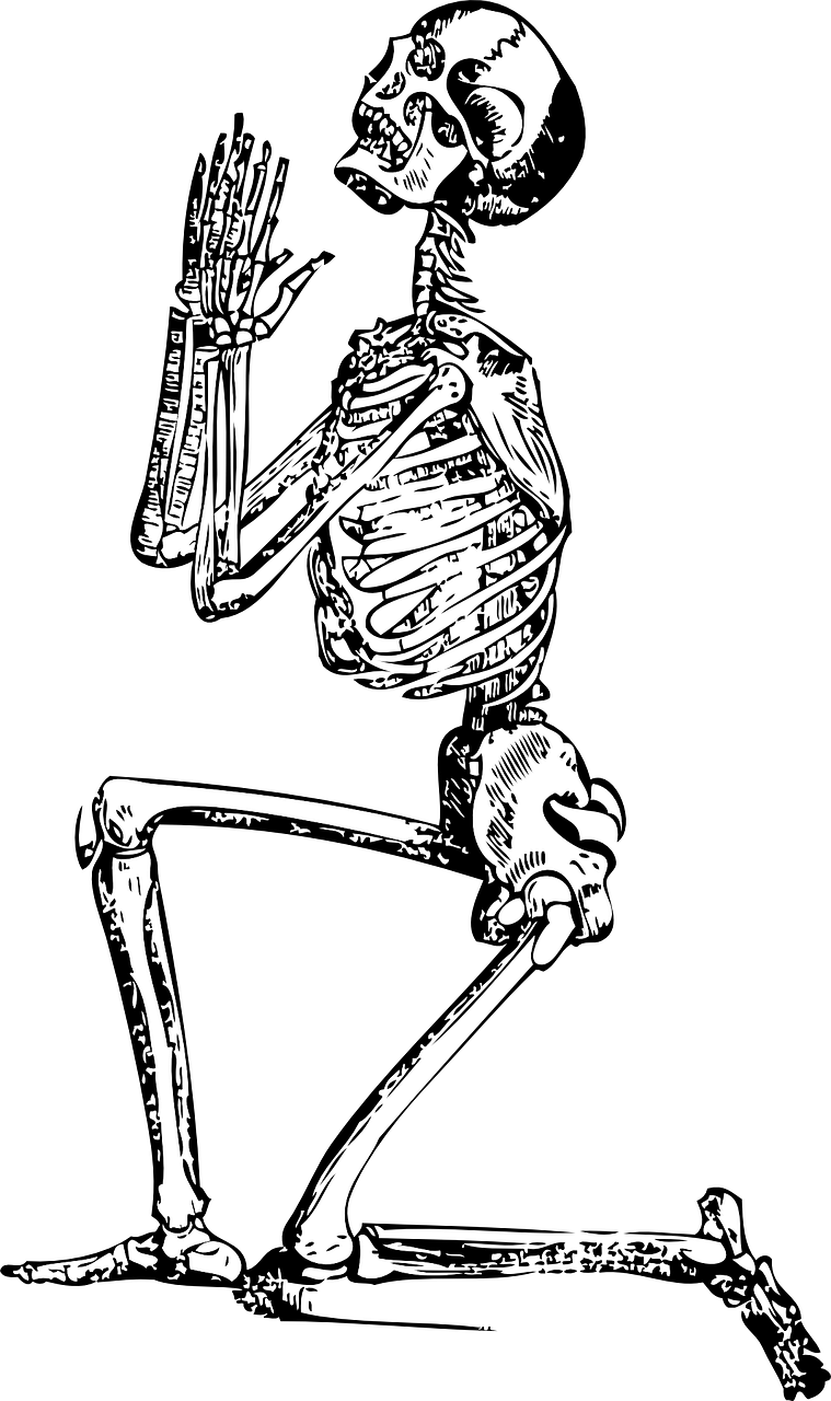 skeleton, pray, man-33847.jpg